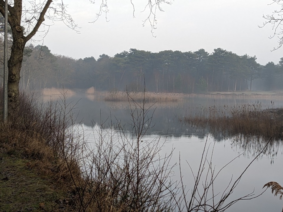 Agenda #Vlieland
| za 22/04 13:30 Wandeling met als thema &lt;i&gt;Wat is van Waarde&lt;/i&gt; - Wandeling en een goed gesprek 
| op-Vlieland.nl/-/wat-te-doen?…
| #Vlieland #VlielandAgenda #LieverVlieland