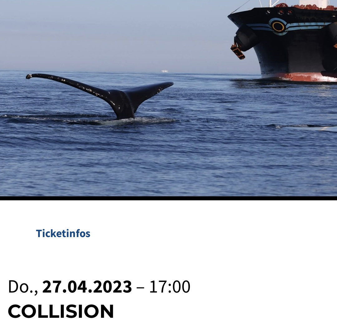 TIPP: Das Cinemare #Filmfestival startet bald in #Kiel . SAFE THE DATE! 26. - 30. April 2023! Es gibt vie Spannendes und Emotionales zu sehen! #CINEMARE Int'l #Ocean Film Festival Kiel