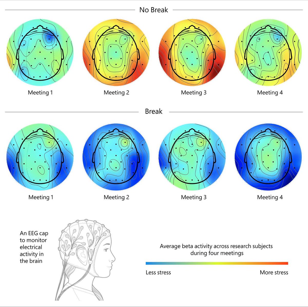 Researchers recently studied the impact of meetings on our brains. The results were fascinating…

Microsoft's Human Factors Lab studied 14 participants across two days of video meetings.

Day 1: 4 back-to-back 30-min meetings.

Day 2: 4 30-min meetings with 10-min breaks in