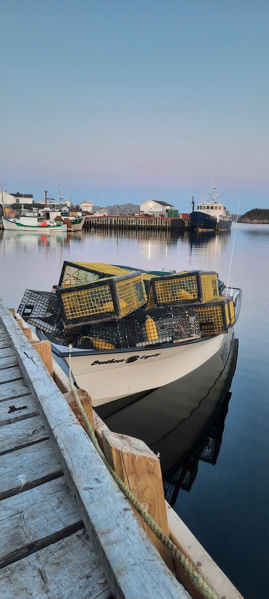 Chipman2012's tweet image. Let the fun begin..