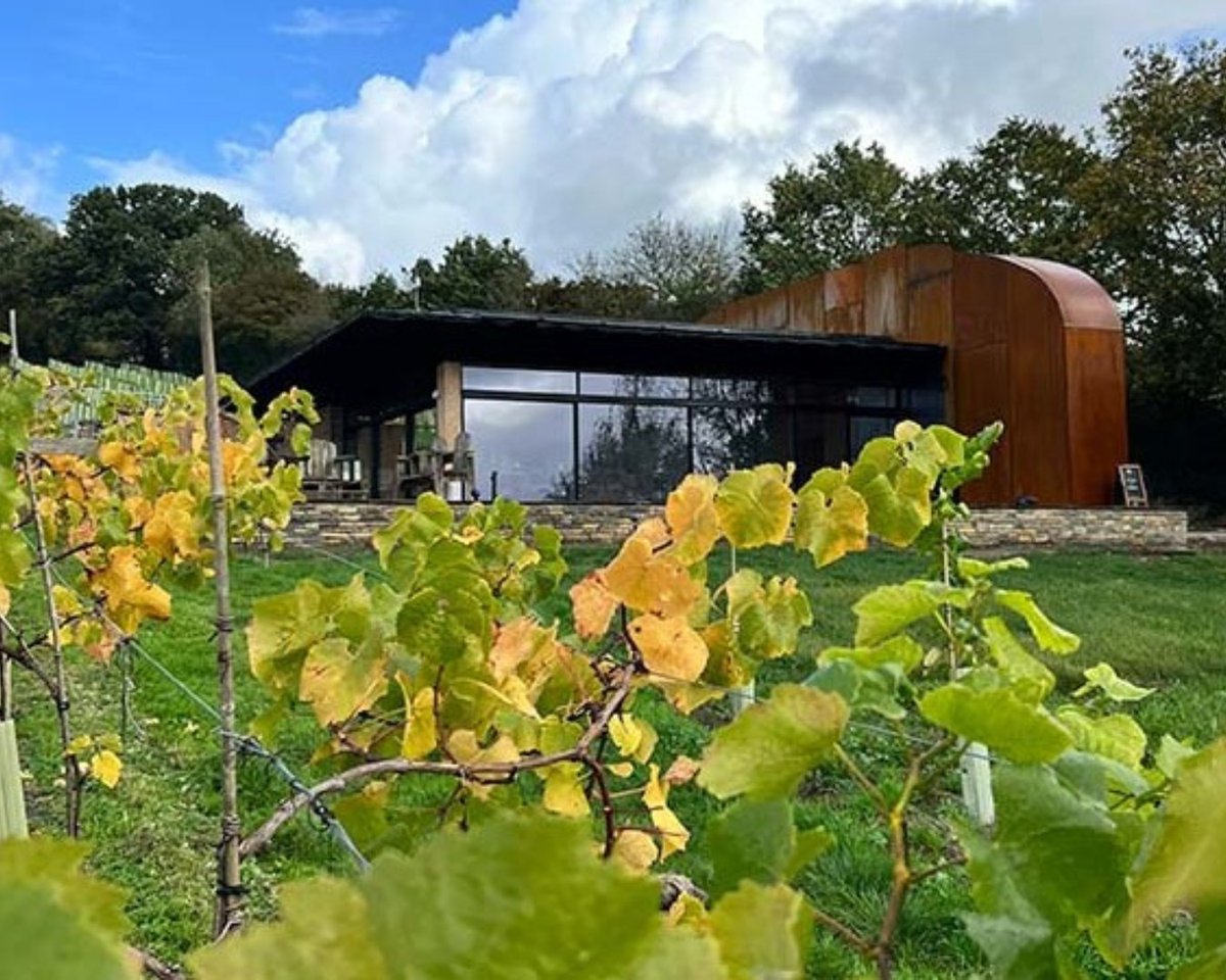 Lodestone Property (@lodestoneprop) on Twitter photo #lodestonelife
Although growing vines & producing wine is a slow process, Lexa & David of <a href="/wraxallvineyard/">Wraxall Vineyard</a> have already delivered a 5-year-plan in 2.5 years!
We found out what they have planned for this summer: bit.ly/3A18DSk
#somersetbusiness #somerset #countryliving #lodestonelife
Although growing vines & producing wine is a slow process, Lexa & David of <a href="/wraxallvineyard/">Wraxall Vineyard</a> have already delivered a 5-year-plan in 2.5 years!
We found out what they have planned for this summer: bit.ly/3A18DSk
#somersetbusiness #somerset #countryliving