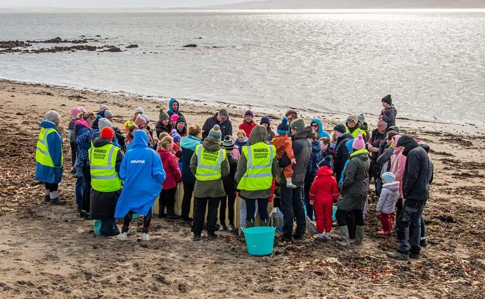 Irish Elasmobranch Group tweet media