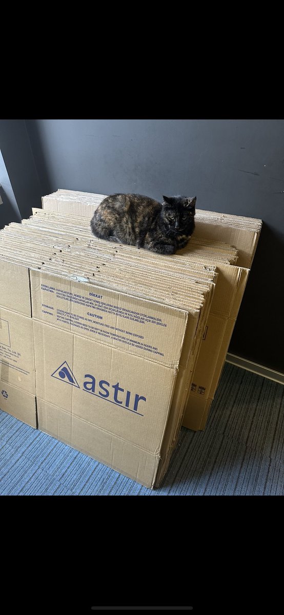 Terlik konusu ile ilgili güncelleme 🥳

1200 kadın, 
1000 erkek, 
1000 kız çocuk, 
1000 erkek çocuk  

olacak şekilde 4200 çift terlik satın alındı. Depoda paketleniyor şu an, bayramdan önce Hatay'da dağıtılması için pazartesi yola çıkaracağız.