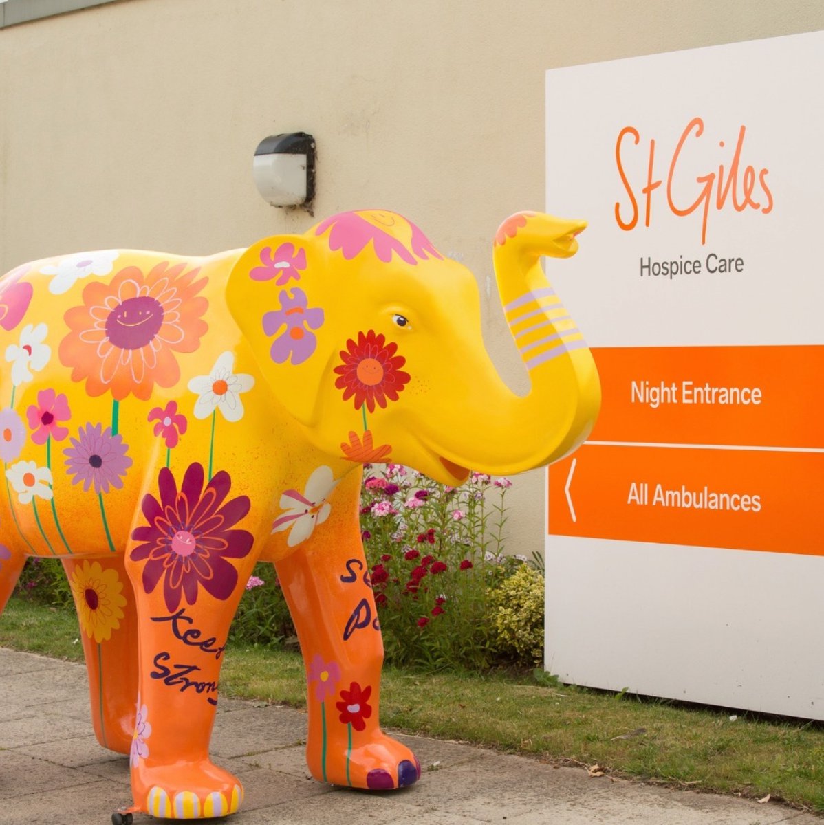 Wild in Art tweet media