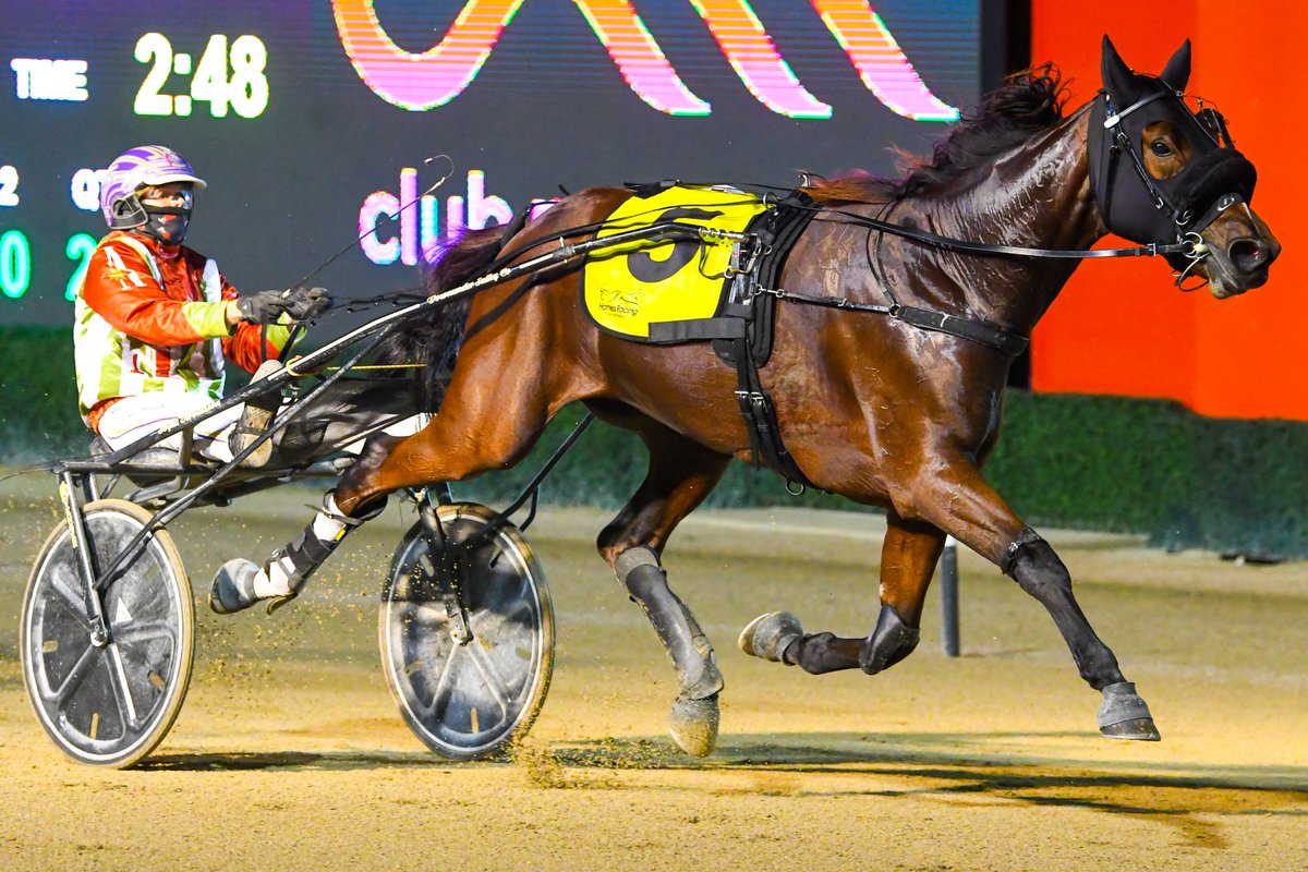 Club Menangle tweet media