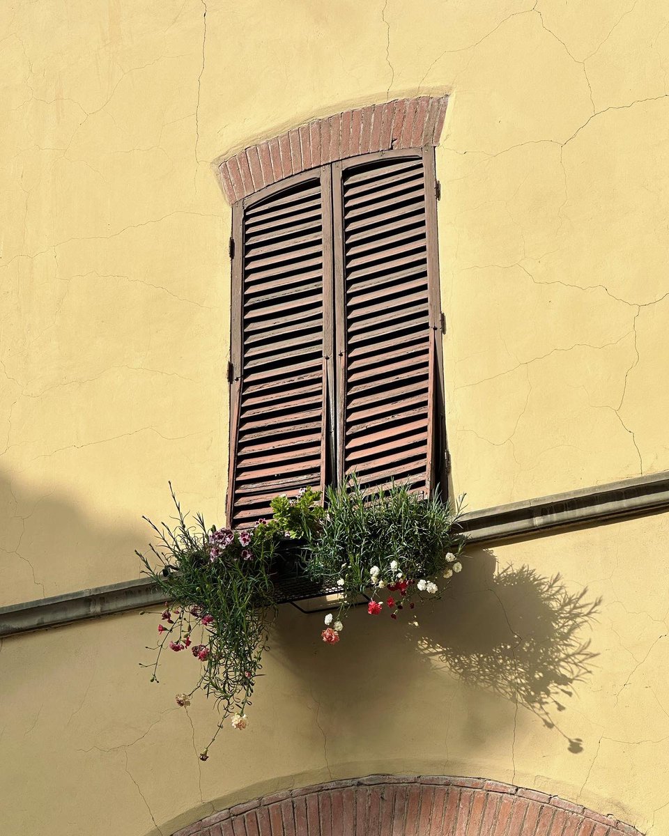 Alessio Bianchi tweet media