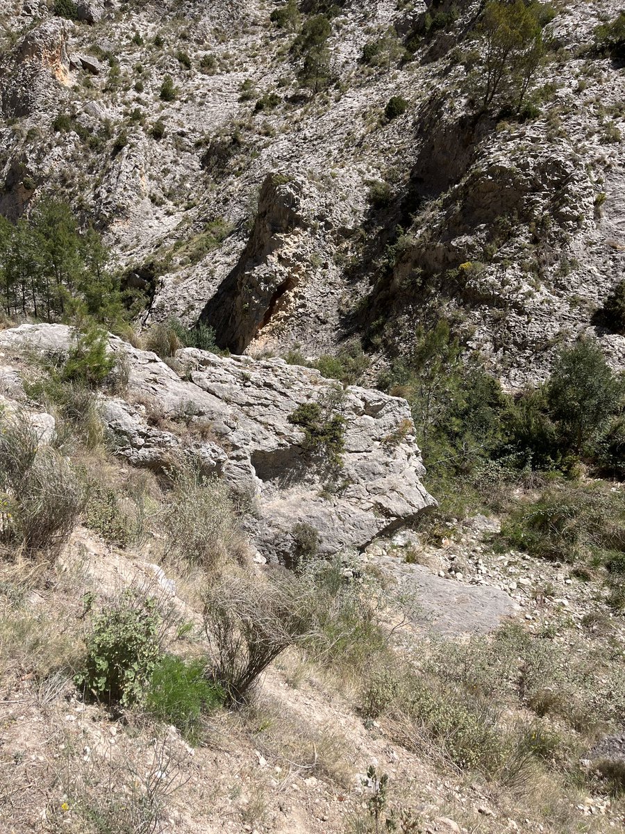 ENCONTRÉ A MALPHITEEEE!!!!