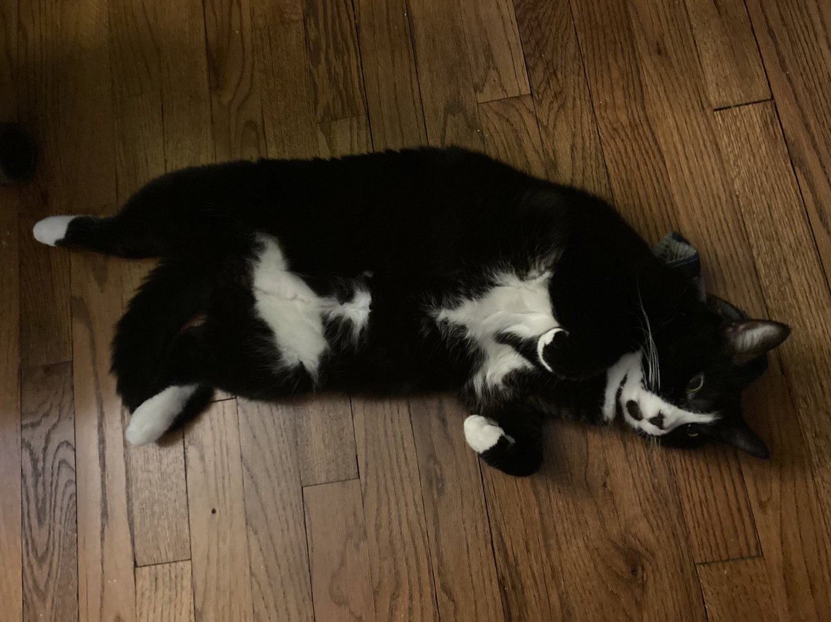 Chaotic_GoodBoy's tweet photo. WWHAtt https://t.co/0KVmOBQ0EI