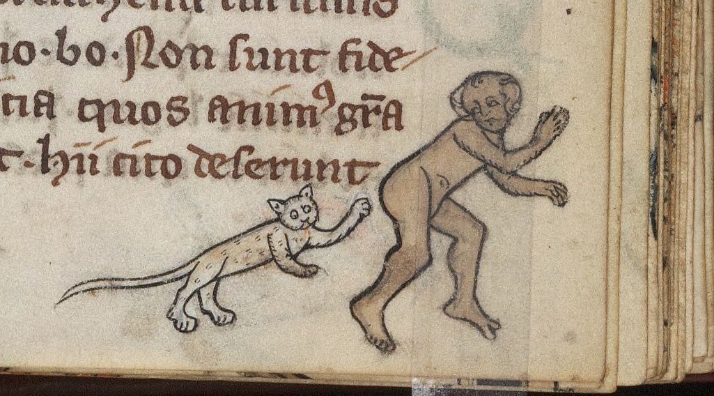 CatherineRosamundLowe tweet media