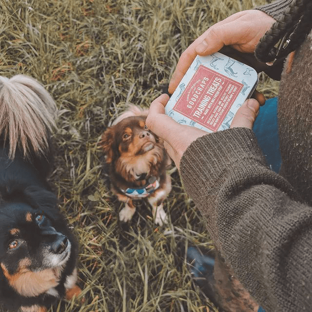 DunsterCastleNT's tweet photo. Come and meet Goodchap’s at the Stables Shop today, Sat 15 April, 11am-4pm.

This Somerset-based company creates natural, healthy and plastic free treats, toys and gifts. Bring your pooch along to meet them, try and sample and check out their range.

📸 #goodchaps https://t.co/ggzIgzMK2y