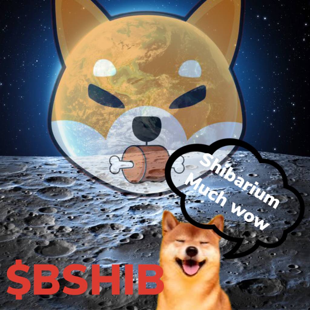 chabadlubavich's tweet photo. Perhaps there is a reason that you're still in other alts
That reason has to do with $BSHIB and $WooF

Portal:  https://t.co/1P0E8cPNyT 
Twitter:  @Bshibeth 
Medium:  https://t.co/UxtM8WGpKN

$CAW $AGI $XEN https://t.co/jL5NtuFyjt