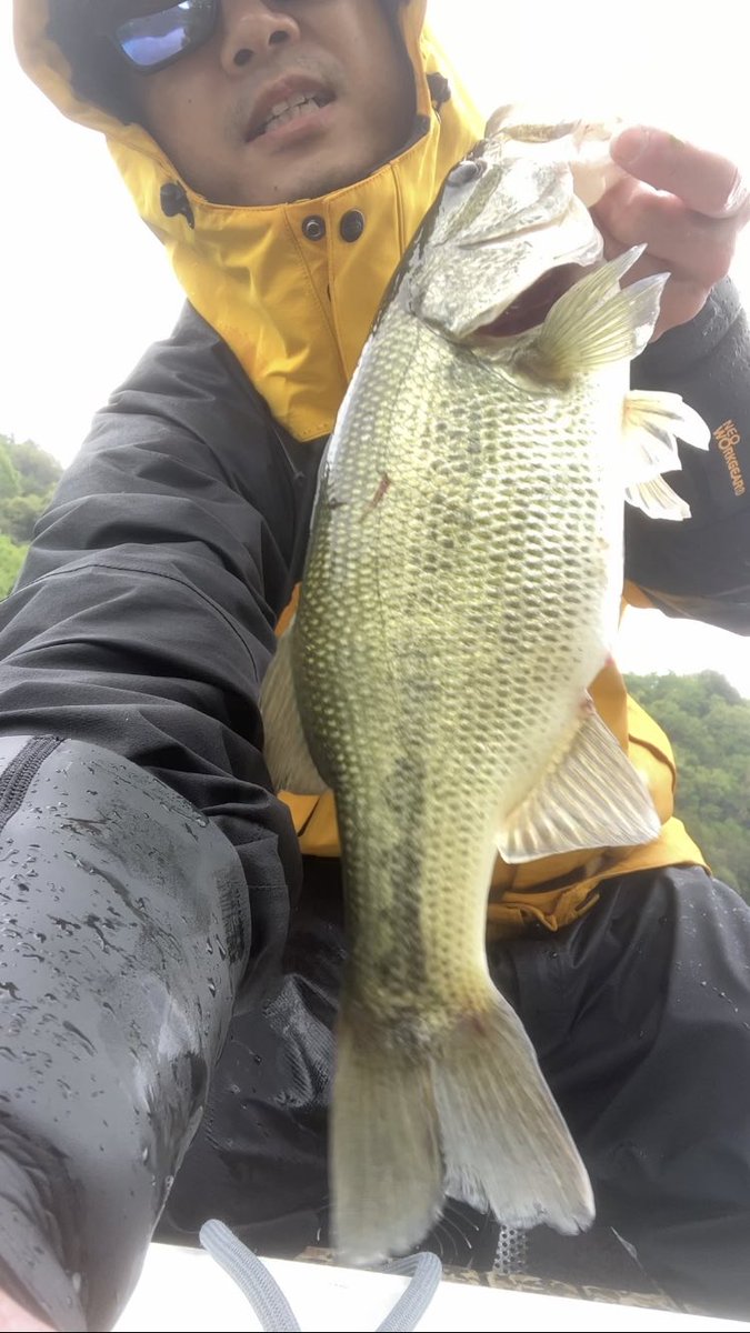Shun_ske's tweet photo. 相模湖にてスピナベで42cm！ https://t.co/zwGEgLyP4F
