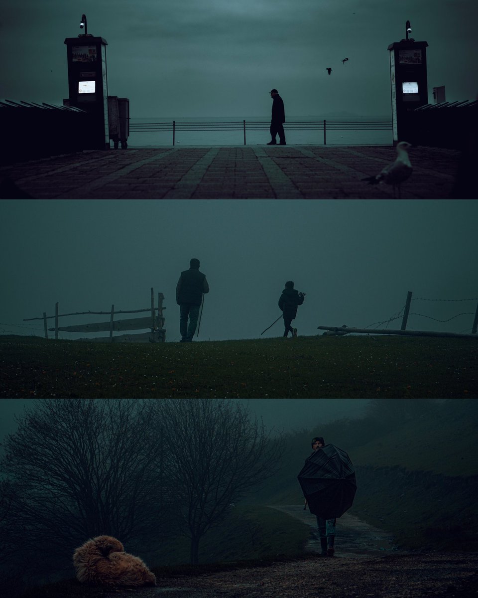 E R M A N ⚓️ tweet media