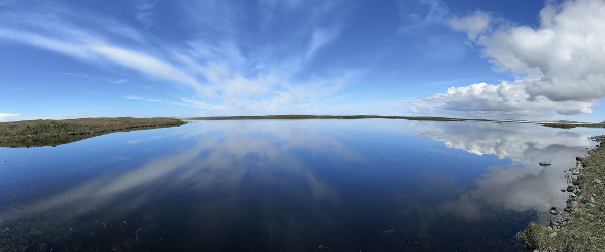 Màiri Anna Chaimbeul tweet media