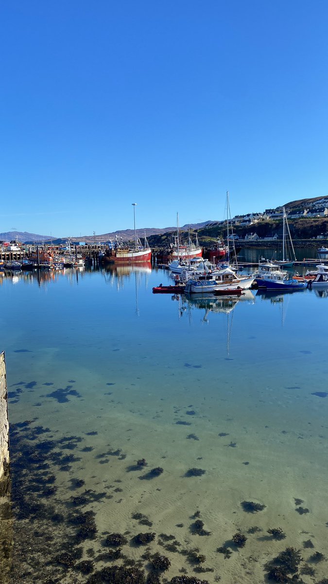 Mallaig harbour this morning. Could it be more stunning?