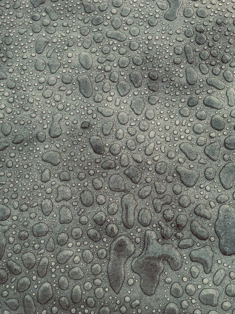 Cookie_and_Alan's tweet photo. Lotus effect on a garden table. #lotuseffect #photograghy https://t.co/JGXDOIZv6c
