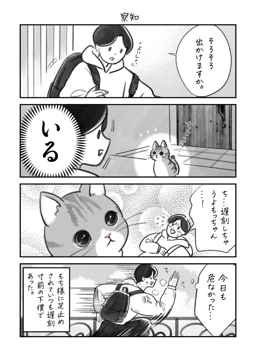 これは出かけるのを躊躇ってしまいそう･･･！出かけようとしたら愛猫が･･･！