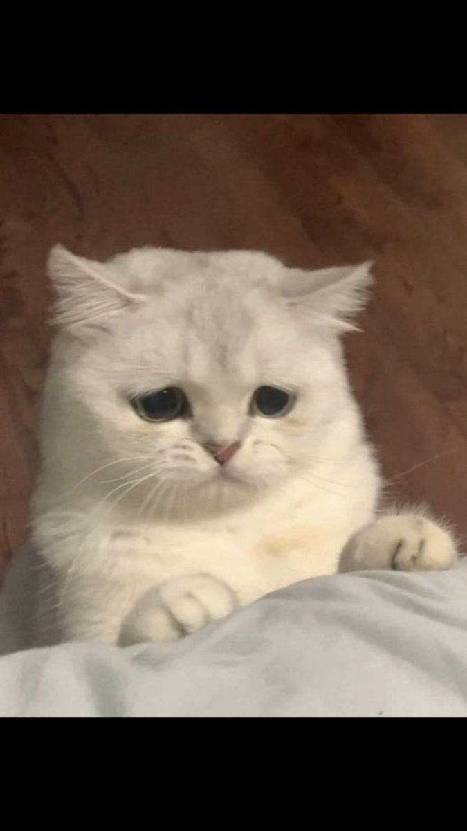 Ben anlıyorum seni balım