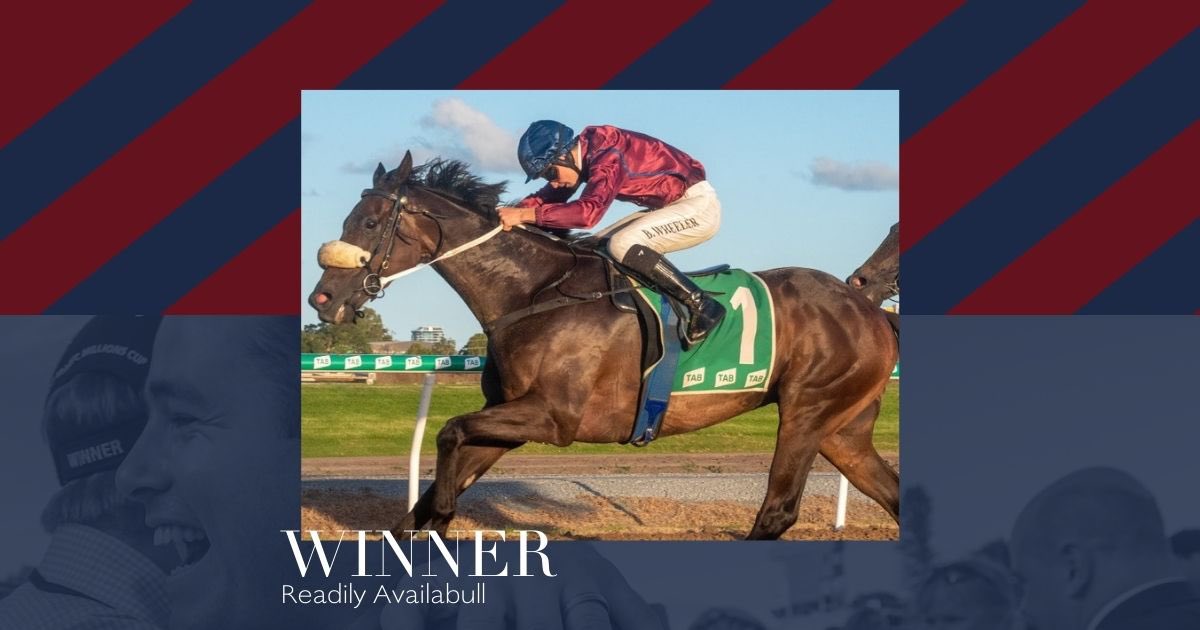 JackBruceRacing's tweet photo. Readily Availabull turns his hand to the @GCTurfClub polytrack to chalk up his second win for the prep.

A patient steer by @baileywheeler05 . 

Congrats to all connections. A $32,500 purchase on @inglis_sales Digital, he now takes his earnings past $61,000.

📸 Greg Irvine https://t.co/1A9bzRFgMx