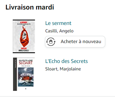 Huit livres seulement dans ma PAL ! 😲
Vite, il faut que je déniche quelques pépites. 
Bingo ! 😀Avec le nouveau thriller d'Angelo Casilli et
le récent recueil de Marjolaine Sloart, je crois avoir tapé dans le mille. 
Ah, Il était vraiment temps que j'intervienne !😉
#autoedition