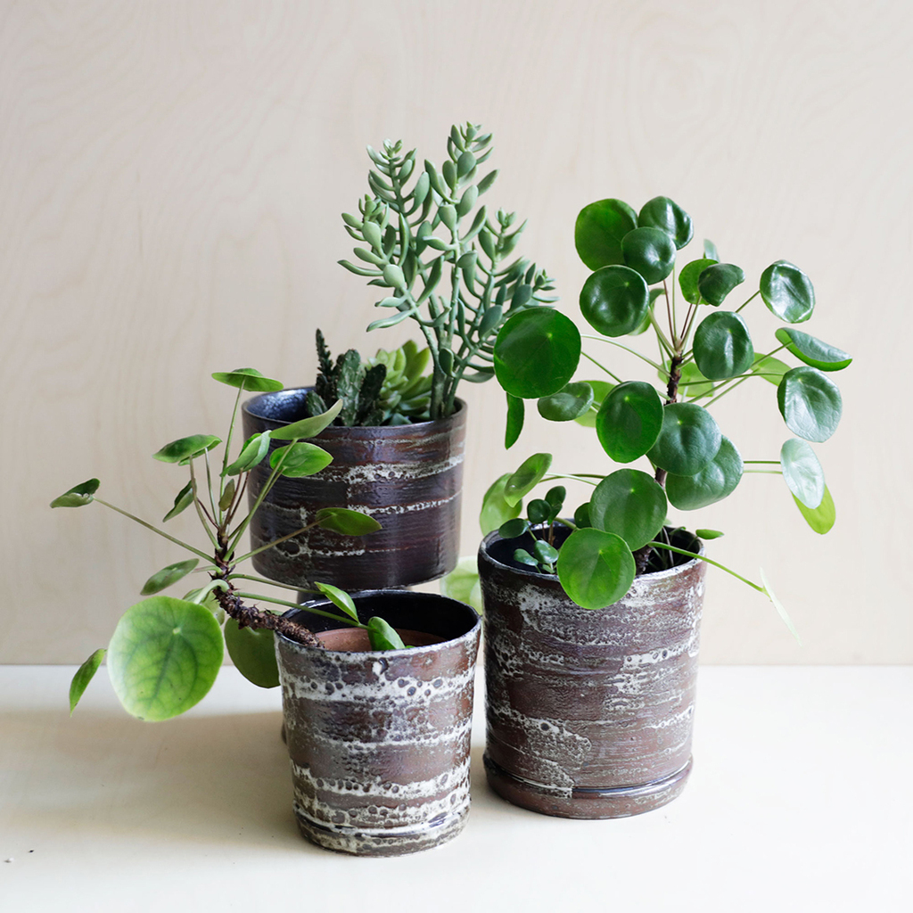 rougeshopuk's tweet photo. We’re loving these handmade fossil like plant pots, sourced from leading Danish interiors brand, Hubsch. They are sure to enhance the beauty of your most beloved plants 🍃

Available in two sizes:

w16 x 17h cm &amp; w13x 14h cm

Visit our website or pop … https://t.co/25firHmlly https://t.co/rOYl0tn5qs