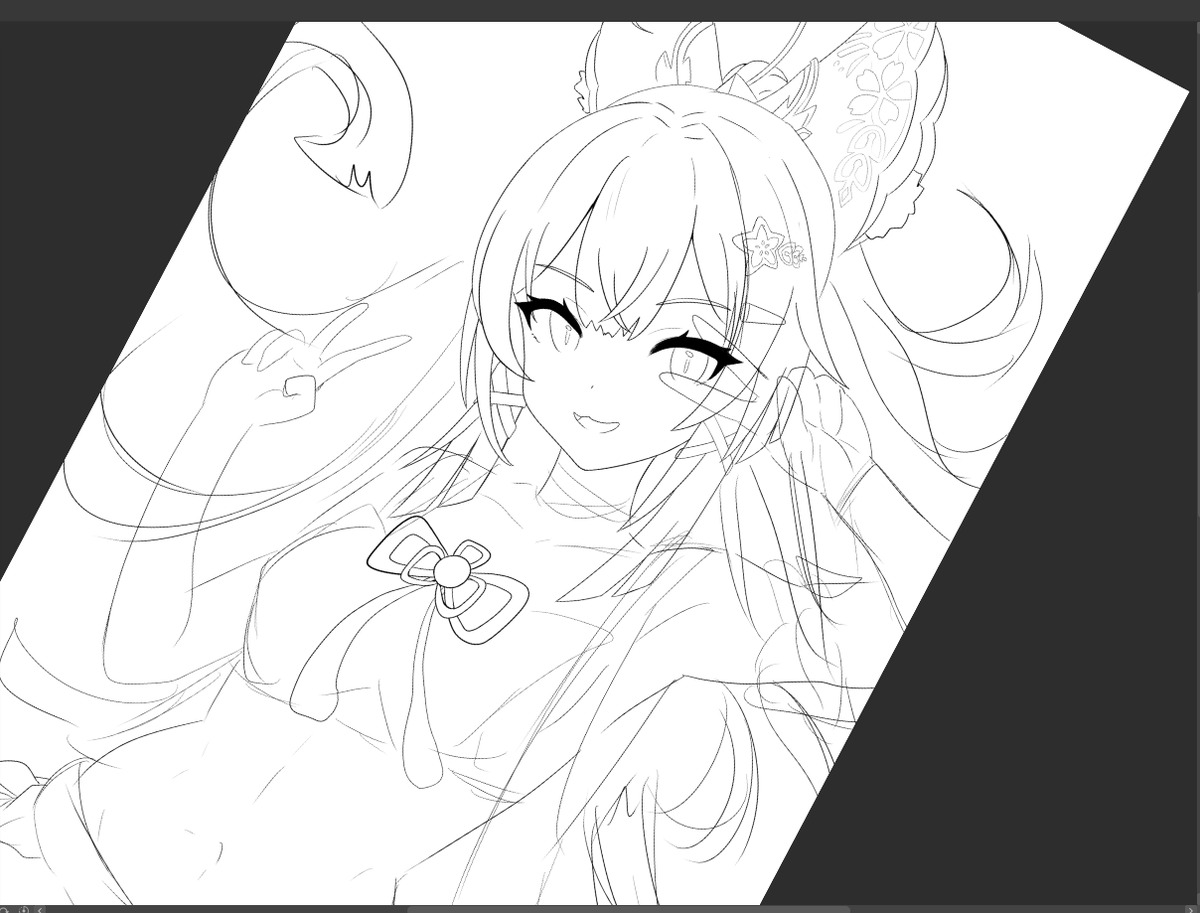 wip🐈 