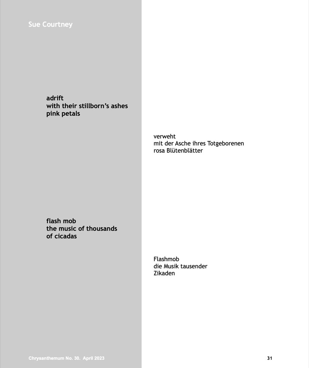 Feel honoured to be alongside some of great names in #haiku with my debut in CHRYSANTHEMUM – an Internet Magazine for Modern Poetic Forms in the Tradition of Japanese Short Poetry – Volume 30, April 2023
chrysanthemum-haiku.net/.../Chrysanthe… 
Many thanks to Beate Conrad  &amp; the editorial team