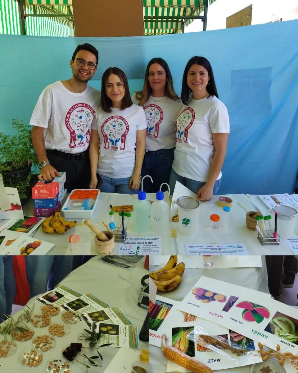 Ana Gálvez Galván tweet media