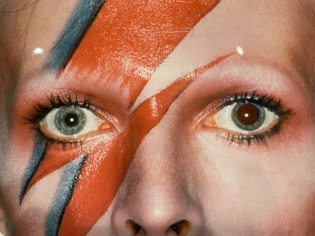 Alex Nicholls tweet media