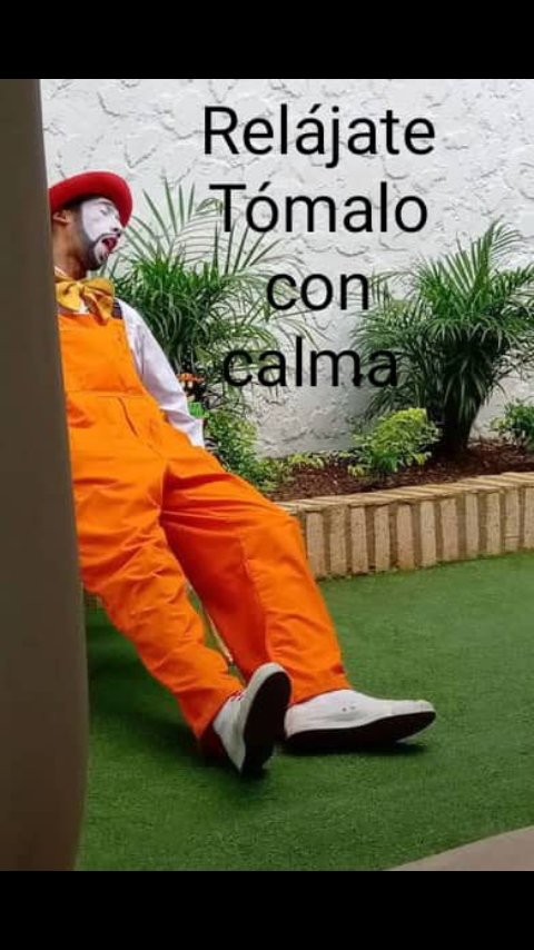 paulrojaslizar1's tweet photo. ⚠️ Importante ⚠️
Consejo para aplicar hoy 😁
Modelo 📷 @mimocarlosrivero, síguelo en instagram 😉
#pazinterior
#mimocarlosrivero
#motivación
#inspiración
#paulrojaslizardo
👇👇👇👇👇 https://t.co/s6ezIu16Kc