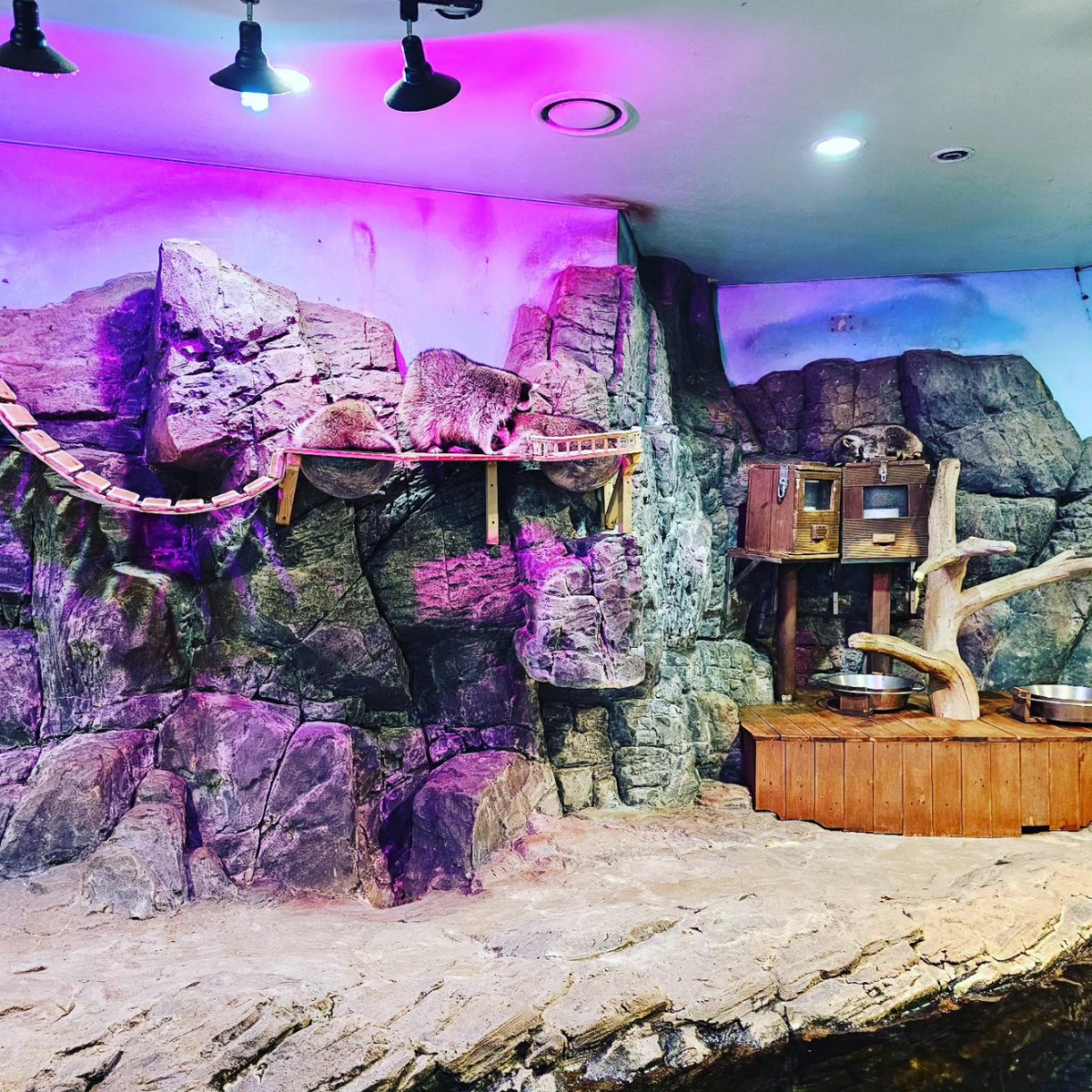 mc_xanthe's tweet photo. Aquaplanet Ilsan pt.1 #ilsan #aquaplanet #aquarium #photography #seoul #korea #fish https://t.co/mlR1dIAEJt