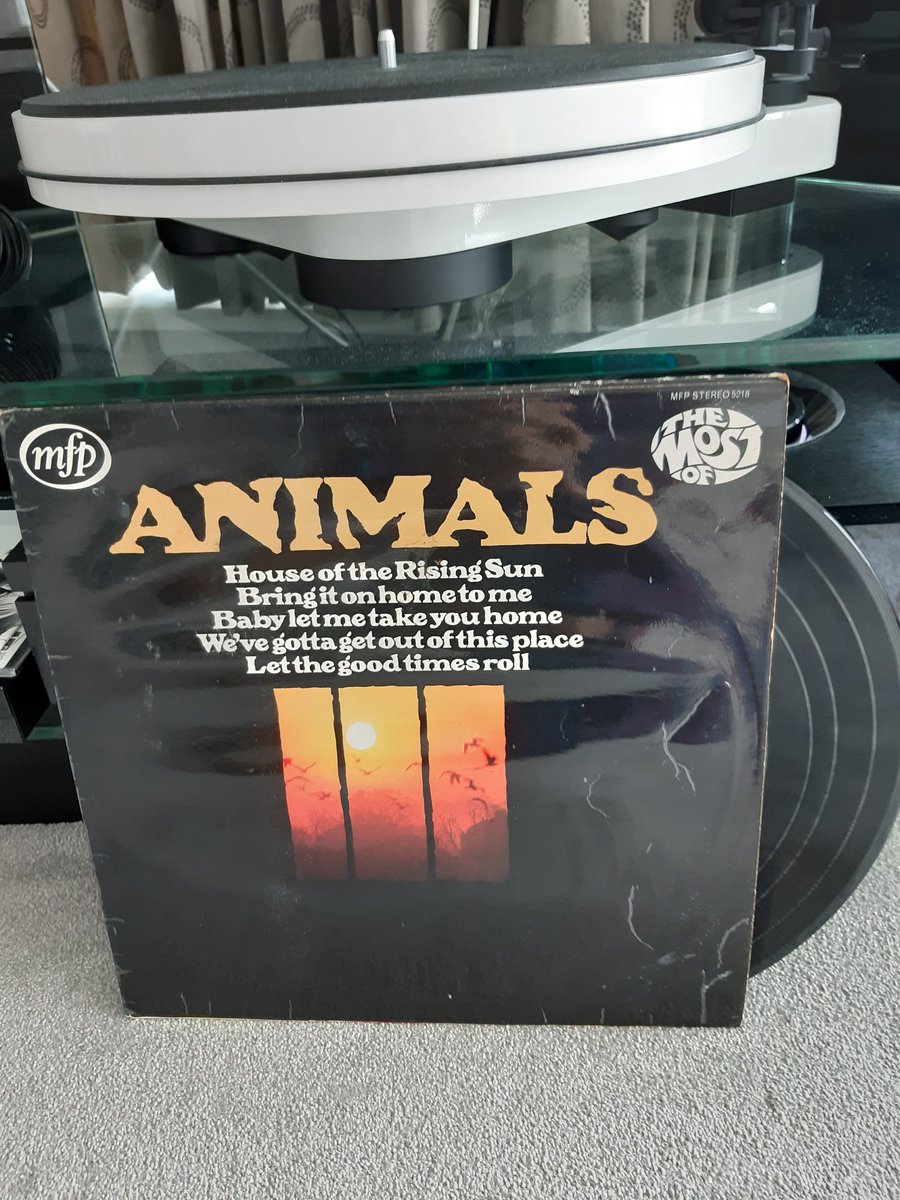 Great #60sMusic LP The Animals #vinyl #vinylrecords #instavinyl #music #vinylcollection #vinylcollector #record #RMP