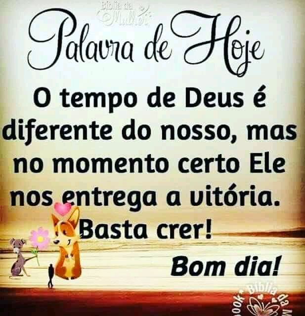 JorgeIssa6's tweet image. Ótimo sábado abençoado 🙏🙌🌻