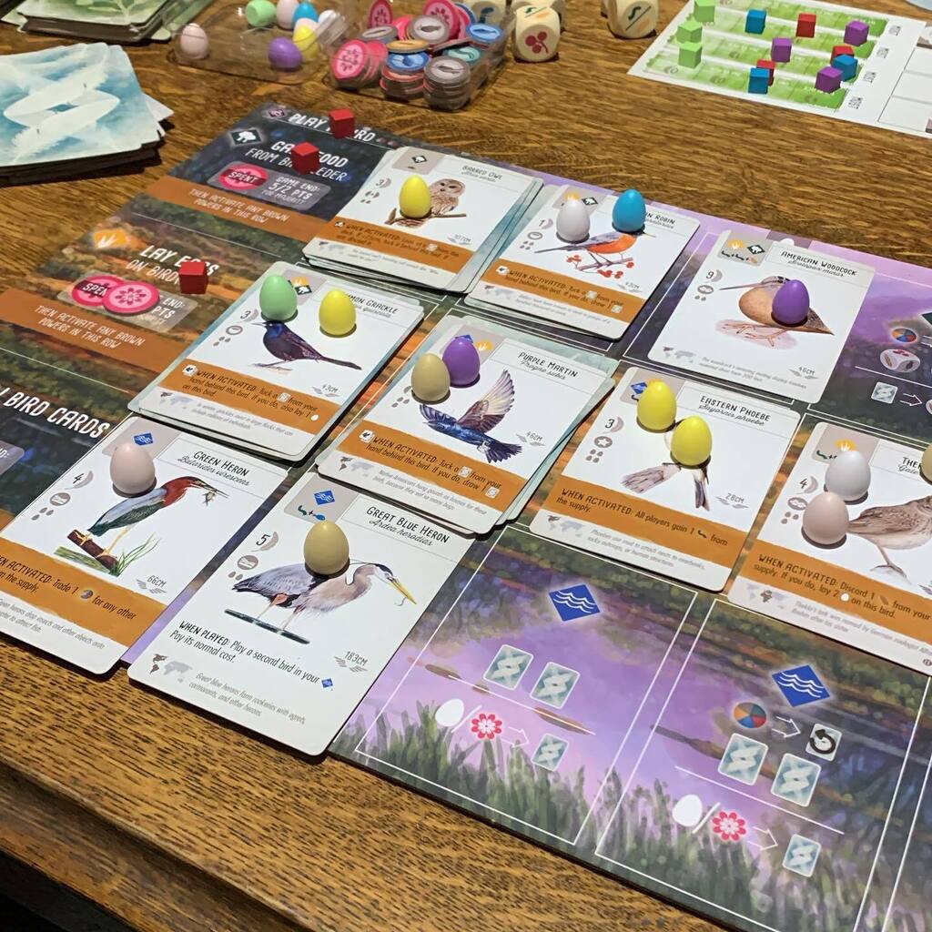 thegamesplainer's tweet photo. #boardgames23 #wingspan #stonemaiergames #bgg #boardgames #boardgamenerd #boardgamesaustralia #boardgamesofinstagram #boardgamegeek #tabletopgames #gamenerd #thegamesplainer https://t.co/vlLTJqoExy https://t.co/83aYwRsJ9d
