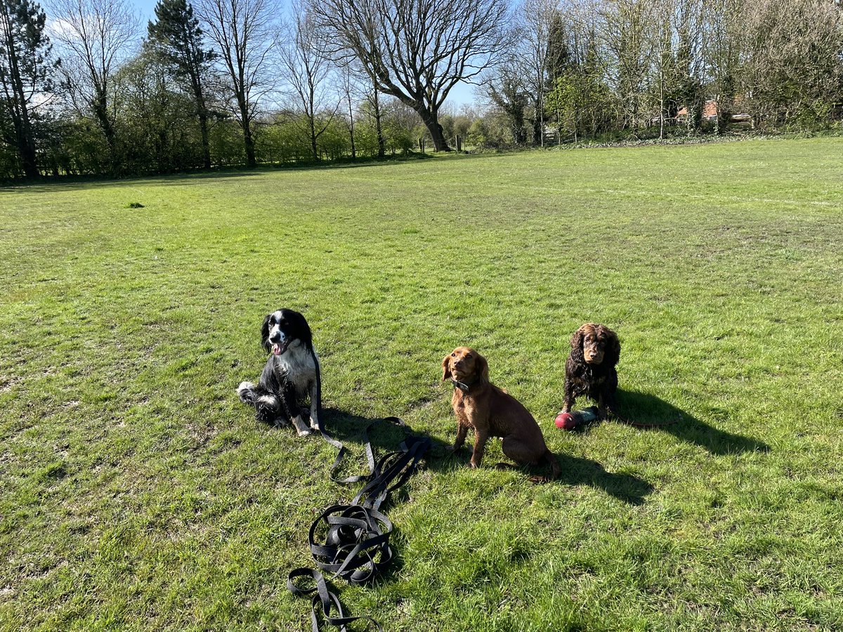 X-Paul 🇺🇦 🇮🇱✡️ ✝️ tweet media