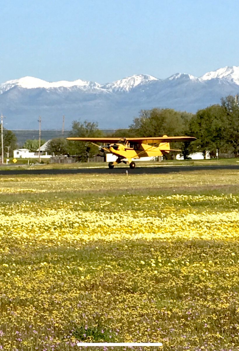 Early morning #fridayflyday #pipercub #bushplane #tailwheel  #airparkhomes #california #northstate