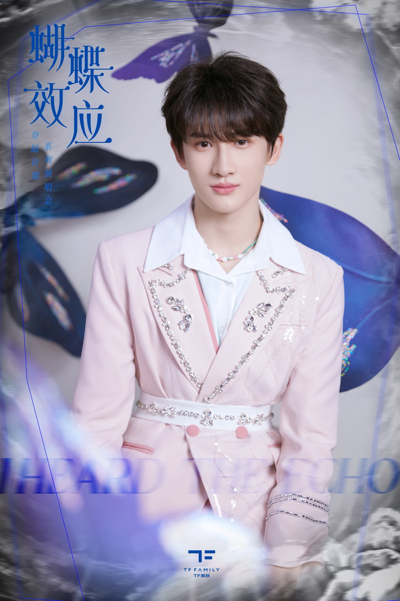 TF家族 三代 张极 场周 a款 蝴蝶效应 特典 トレカセット TF家族 三代 张极 场周 a款 蝴蝶效应 特典 トレカセット