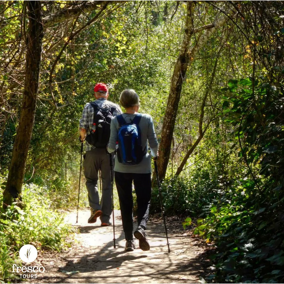 fresco_tours's tweet photo. Getting ready for your Camino #4
Trekking poles
At Fresco, we love trekking poles and always suggest using them.
Find out more on our Blog: https://t.co/uojNSE2aYI
#CaminodeSantiago #FrescoTours #Hiking #BuenCamino #GettingReady #Vacation https://t.co/lLhUTpV8dE