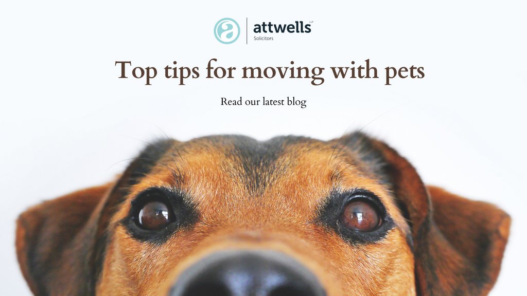 attwells's tweet image. Moving with pets can be a stressful experience. 🏡

Check out our top tips to make sure that your furry friend stays safe, comfortable, and content throughout the process!  🐾

Find out more: attwells.com/newsfeed 

#movinghome #movingwithpets #pettips #movingwithyourpet
