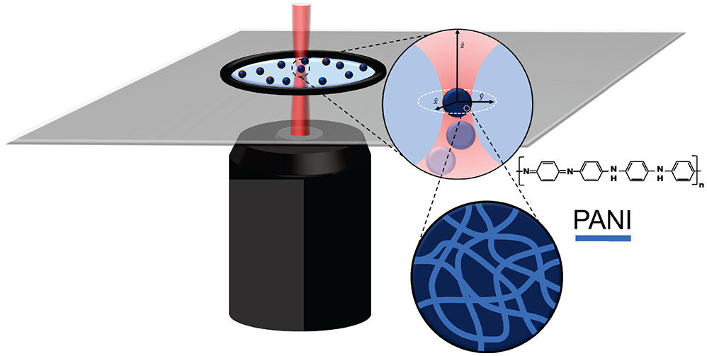 The stable trapping and manipulation of polyaniline (PANI) beads was demonstrated for the first time, using a Gaussian beam optical tweezers <a href="/ufvbr/">UFV</a> <a href="/simposiofisufv/">V Simpósio da Pós-Graduação em Física - UFV</a> <a href="/joaquimphysis/">Joaquim Mendes</a> 

Learn more in ACS Applied Polymer Materials 👉 go.acs.org/4wi