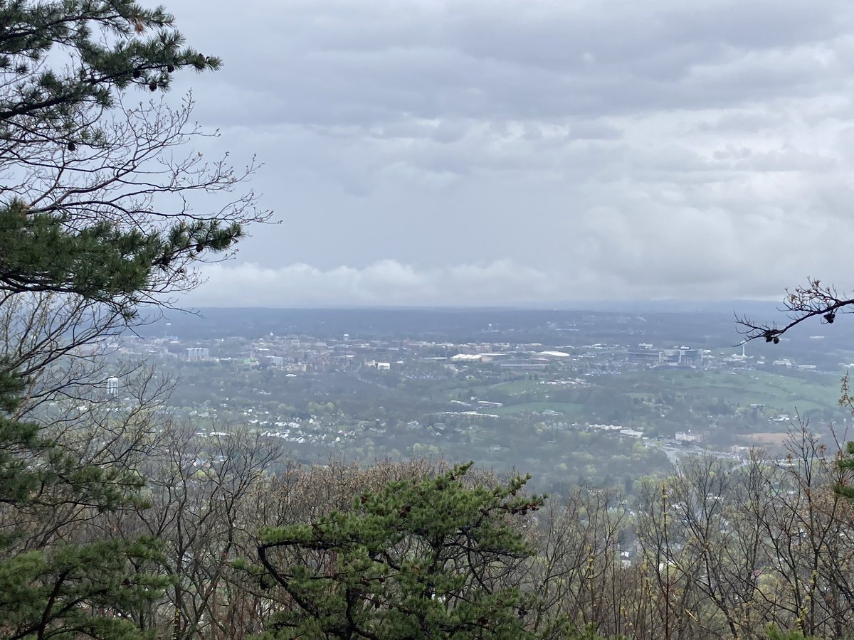 Matt Mahalik tweet media