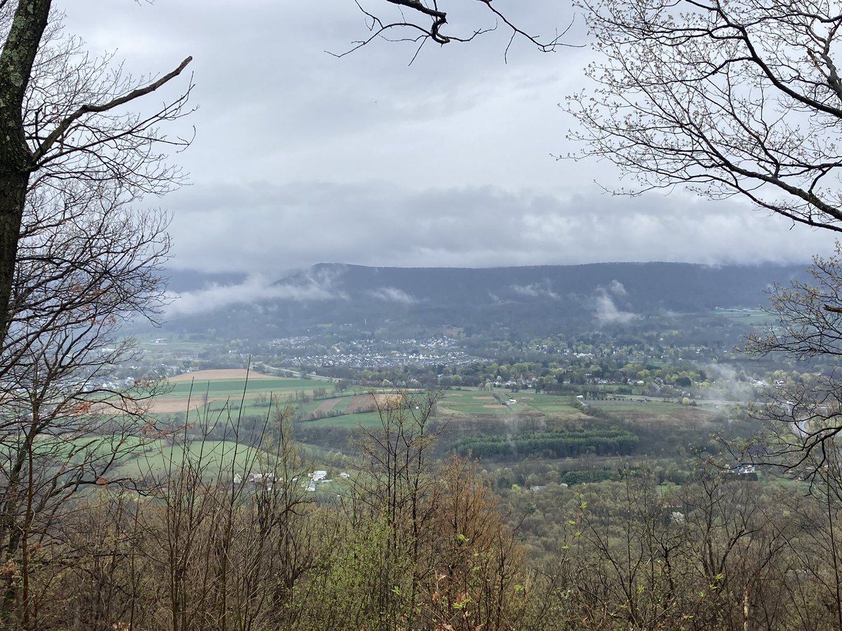 Matt Mahalik tweet media