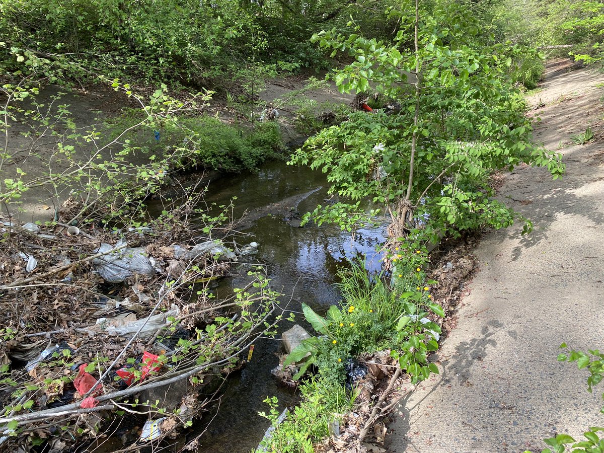 <a href="/ssurovell/">Senator Scott Surovell - ssurovell.bsky.social</a> <a href="/SupervisorLusk/">Rodney Lusk</a> I’m here with a great team and <a href="/MtVernonDemsVA/">Mount Vernon Democrats</a> and <a href="/HayfieldDems/">Hayfield Young Dems</a> are represented too!