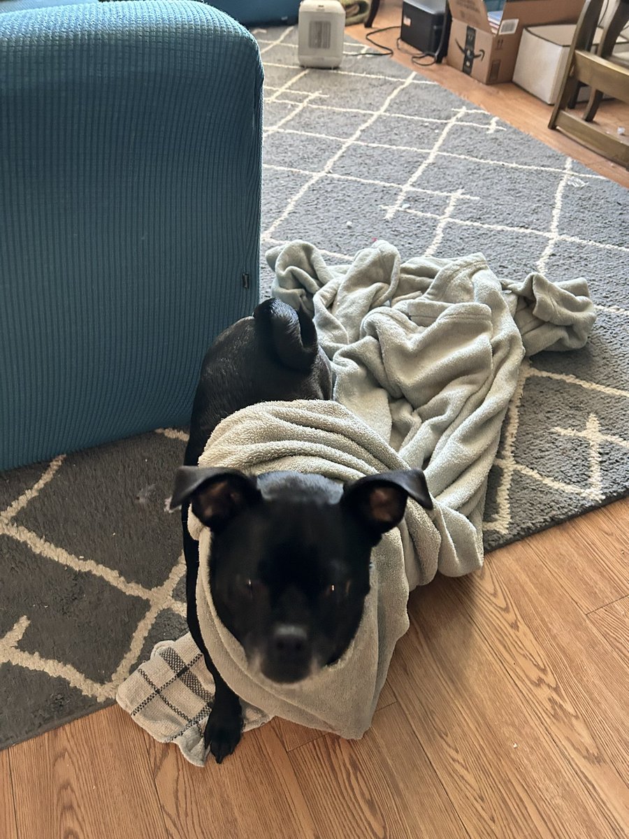 cmatchell's tweet image. 