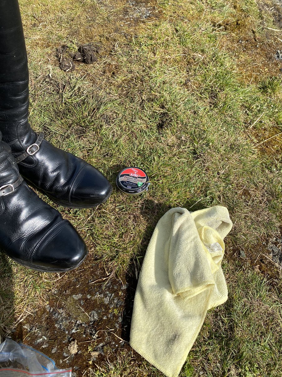 Time to get polishing! All the best to the horses and jockeys running in the Grabd National. See you at the winning post!