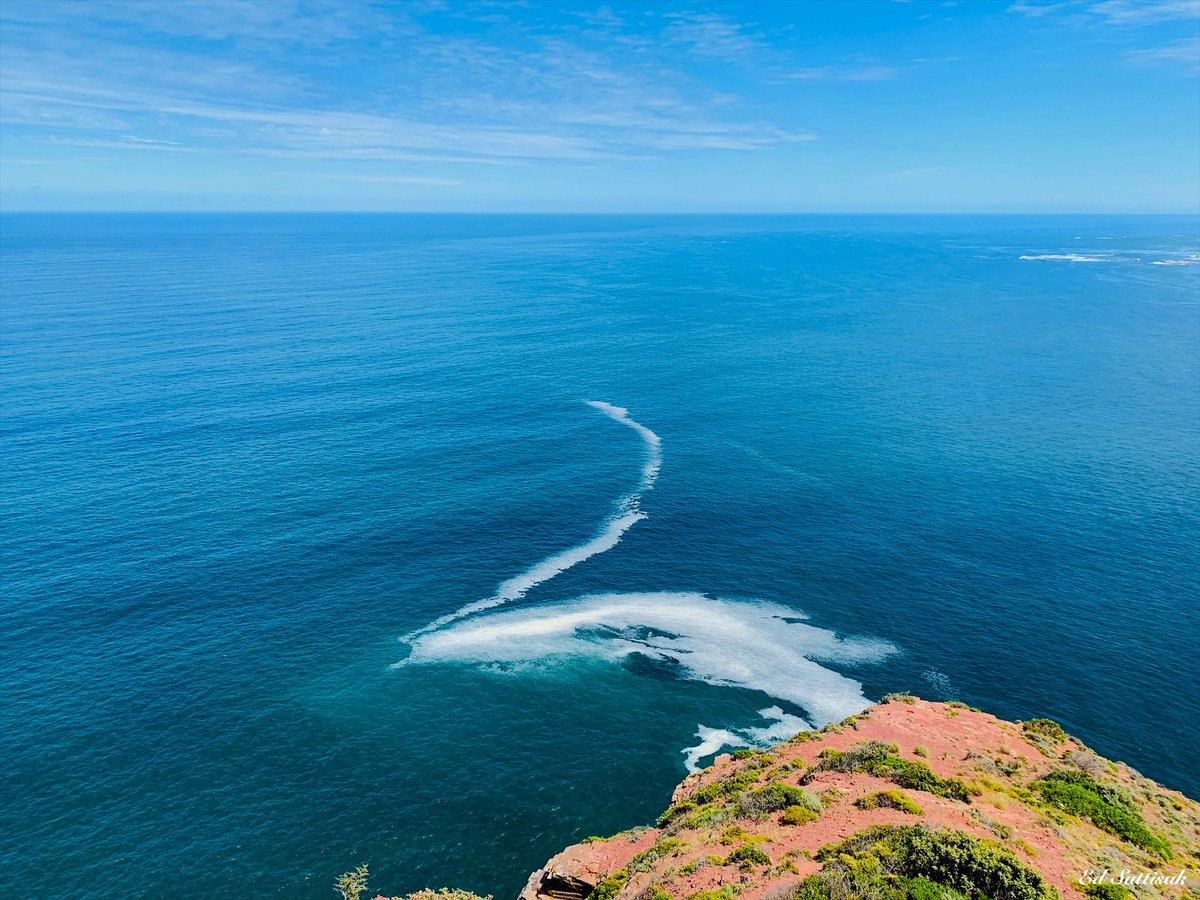 “The sea is a desert of waves, a wilderness of water.” – Langston Hughes #sea #ocean #chapmanspeak #southafrica 🇿🇦 #Traveling #adventure #travel #traveler #WorldTraveler #TravelBlogger #wanderlust #travelphotography #naturelover #naturelovers