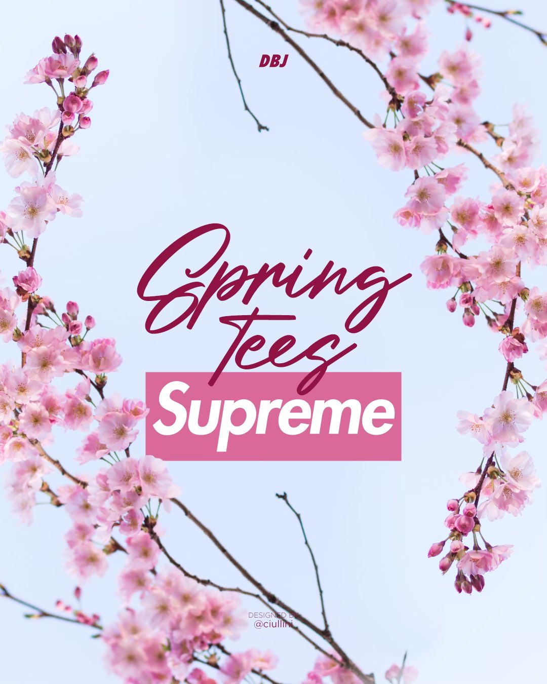 DropsByJay on X: Supreme Spring Tees Here is the list of Spring