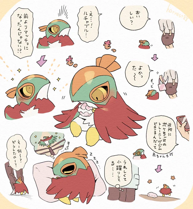 うれしいルチャブルいろいろ(赤ちゃんルチャチャ) 
