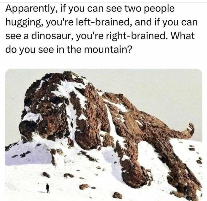 What if you see a dog?😯