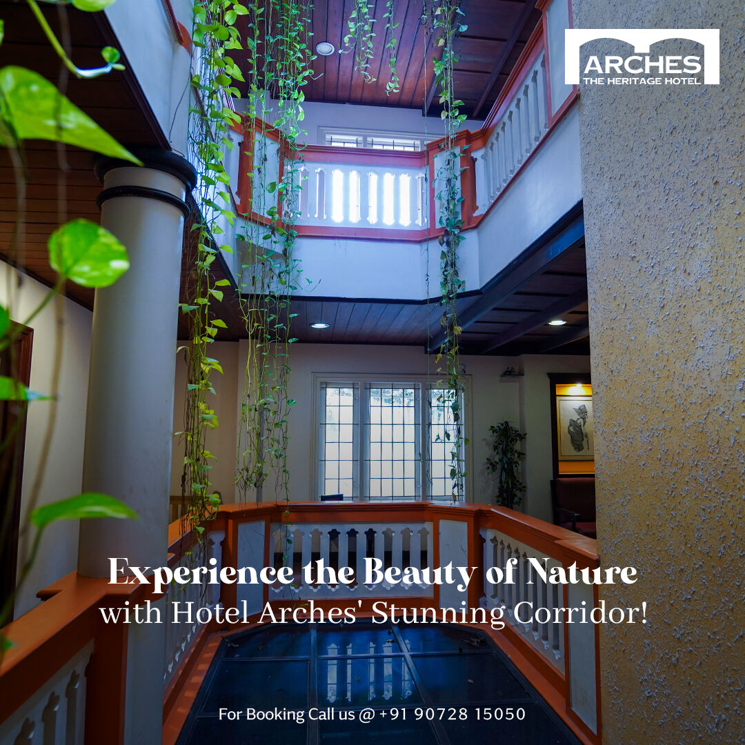 Discover the beauty of nature with a stay at Hotel Arches. 

For bookings call us: +91 9072815050

#HotelArches #NatureBeauty #StunningCorridor #NaturalOasis #Tranquility #Relaxation #Getaway #NatureLovers #Serene #PicturesqueViews #BeautifulHotels #Wanderlust #Greenery #FreshAir